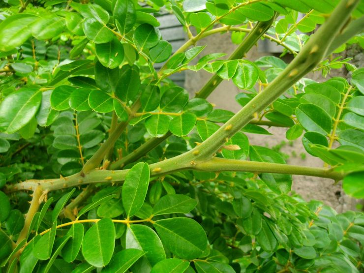 Hex Removal Bath image 0