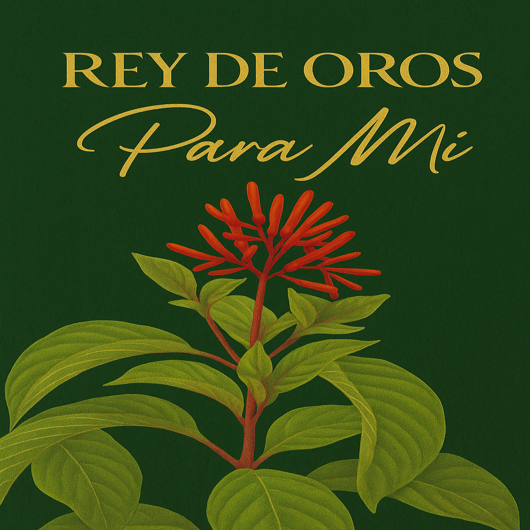 Para Mi (For Me)